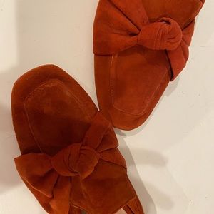 Velvet Violeta Shoes